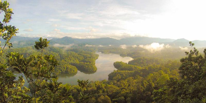 精密制造50：智能制造、工业自动化与自动化产线如何重塑现代工业